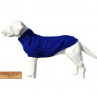 CC-Rascal-Blue-04